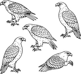 eagle set abstract illustration