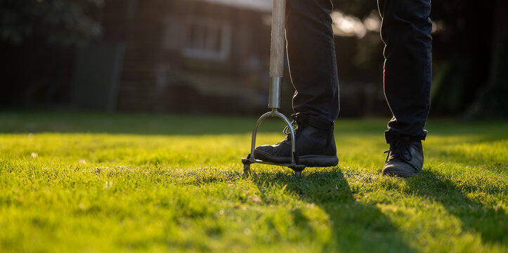 Man uses a hand aerator in the garden to punch out holes which improves the ventilation of the lawn.