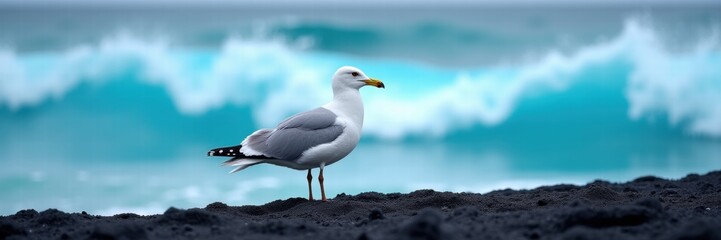 Fototapeta premium A solitary seagull stands on a rocky shore, with vibrant turquoise waves crashing in the background, capturing the serene beauty of coastal wildlife.