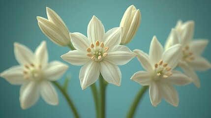 Fototapeta premium A bunch of white flowers on a blue background