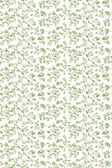 Floral pattern on a white background