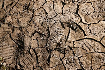 Brauner trockener Erdboden mit Rissmuster bei Sonne am Morgen im Frühling als Hintergrund