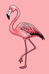 Fototapeta premium Elegant Flamingo Illustration Fun and Simple