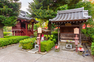 Fototapeta premium Garden of Senso-ji temple in Asakusa, Tokyo, Japan