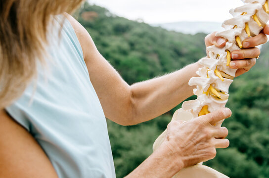 Close-up of physiotherapist holding anatomical spine model