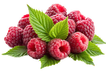 raspberries with leaves