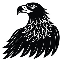 eagle head vector illustration