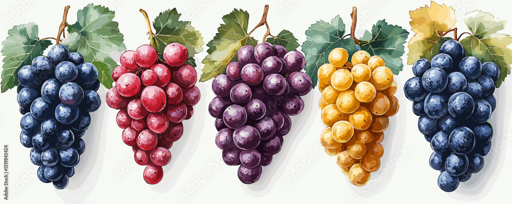 Poster colorful grape clusters vector icons set in flat style with green leaves.