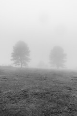 Countryside view on a foggy day - Sao Francisco de Paula, South of Brazil