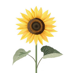 Obraz premium Bright sunflower with green leaves isolated on a transparent background showcasing its vibrant petals and detailed center, Sunflower, isolated, transparent backgroundGenerative IA 