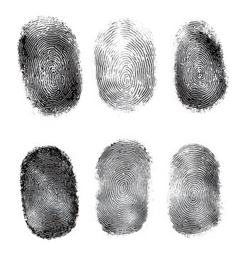 Fingerprint set isolated on transparent background. Generative AI
