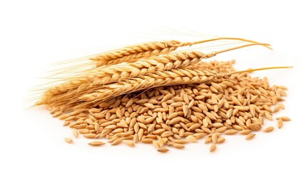 A photo of a close-up of wheat grains