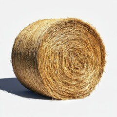 Large round bale of hay on a white background