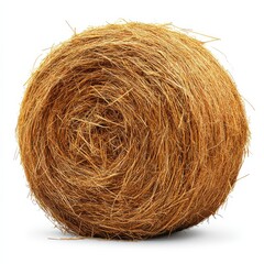 Isolated round bale of hay on white background