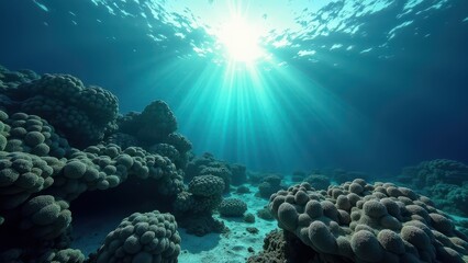 Obraz premium Sunlight shining on a coral reef affected by coral bleaching 