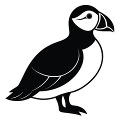 vector illustration of a cartoon bird