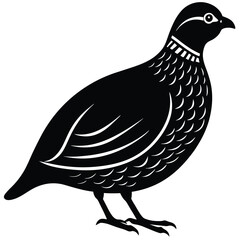 vector illustration of a bird