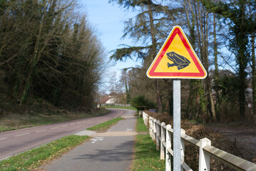 Frog crossing road sign next to a small country road