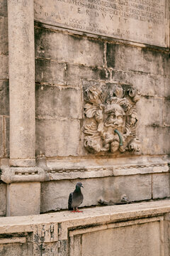 Ancient carved mascaron crane at the Great Onofrio Fountain. Dubrovnik, Croatia