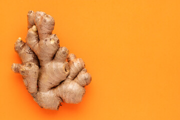 Ginger root with healing properties - Zingiber officinale.