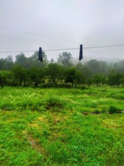 cable car in the countryside