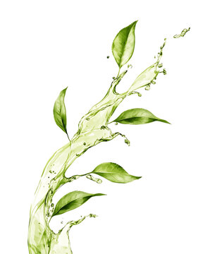 green water splash leaves on white clip art preview