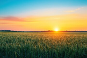 Fototapeta premium Memorial day sunset over a peaceful field with vibrant colors enhancing the landscape