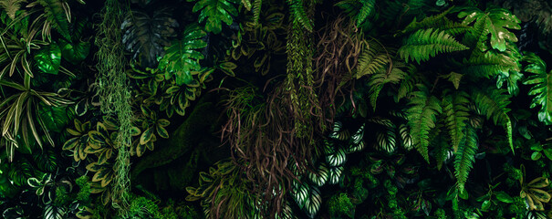 Herb wall, plant wall, natural green wallpaper and background. nature wall. Nature background of green forest