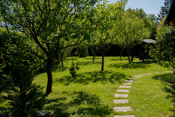 Small green garden with some blooming fruit trees.