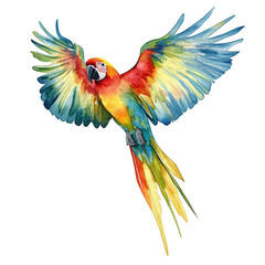 Obraz premium a vibrant watercolor illustration of a parrot in flight showcasing its colorful feathers and dynamic pose the artwork captures the beauty and grace of the bird emphasizing its natural splendor
