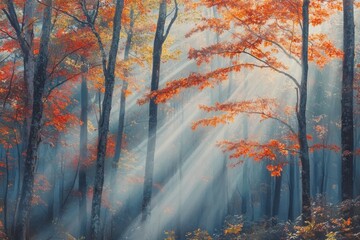Obraz premium Magical Autumn Forest With Sunlight Filtering Through Misty Trees / autumn in the forest.