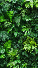 lush green tropical foliage background with various fern leaves