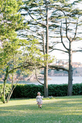 Naklejka premium Little girl walks on a green lawn among wildflowers. Back view