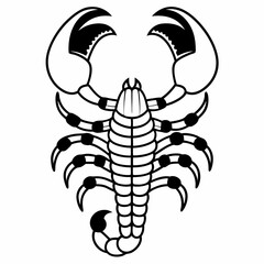 a simple black and white vector illustration of a scorpion, viewed from above with its claws raised and tail curled
