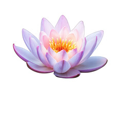 A glowing lotus flower with radiant petals, floating on the surface of a serene pond, isolated on white background.