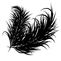 Obraz premium coconut leaf silhouette