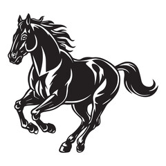black horse isolated on white
