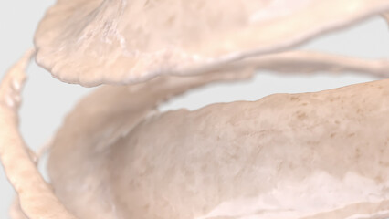 The White Marble Splash on White Background for Abstract Background concept 3d Rendering.