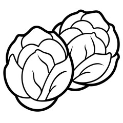 Brussels Sprout Vector Illustration - Cartoons, Clipart, Line Art Design, Brussels sprout vector illustration, cartoon, clipart, and line art design with white background