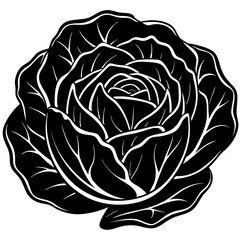 Vector Cabbage Silhouette Illustration with White Background – Clipart, Cartoon, Line Art, Fresh vector cabbage silhouette design perfect for food and nature-themed graphics.