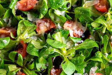 Green lettuce salad