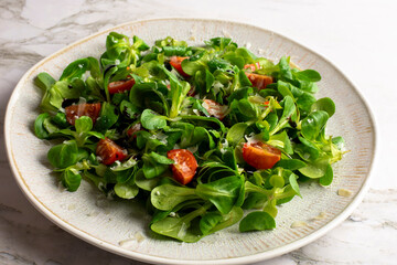 Green lettuce salad
