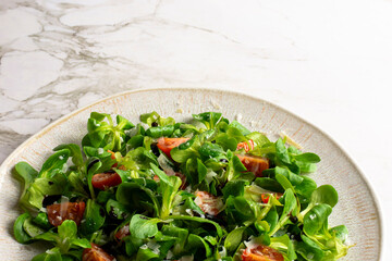Green lettuce salad