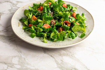 Green lettuce salad