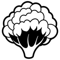 Cauliflower Vector Silhouette with White Background - Cartoon Clipart & Line Art Design, Cauliflower vector silhouette with white background, ideal for digital product designs