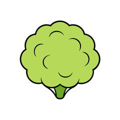 Cauliflower Vector Silhouette with White Background - Cartoon Clipart & Line Art Design, Cauliflower vector silhouette with white background, ideal for digital product designs
