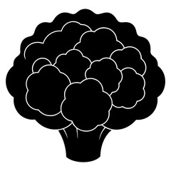 Cauliflower Vector Silhouette with White Background - Cartoon Clipart & Line Art Design, Cauliflower vector silhouette with white background, ideal for digital product designs