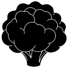 Cauliflower Vector Silhouette with White Background - Cartoon Clipart & Line Art Design, Cauliflower vector silhouette with white background, ideal for digital product designs