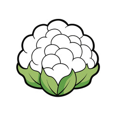 Cauliflower Vector Silhouette with White Background - Cartoon Clipart & Line Art Design, Cauliflower vector silhouette with white background, ideal for digital product designs