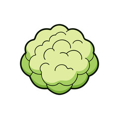 Cauliflower Vector Silhouette with White Background - Cartoon Clipart & Line Art Design, Cauliflower vector silhouette with white background, ideal for digital product designs